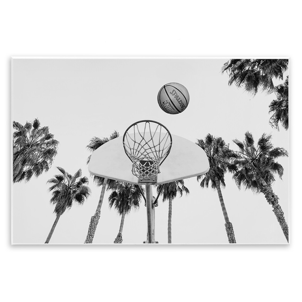 Stupell Industries Basketball Hoop with Palms Wall Plaque Art Design by Sisi and Seb